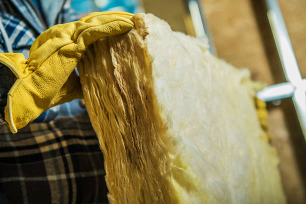 Best Eco-Friendly Insulation in Savannah, GA