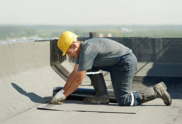 Professional Insulation Contractor in Savannah, GA