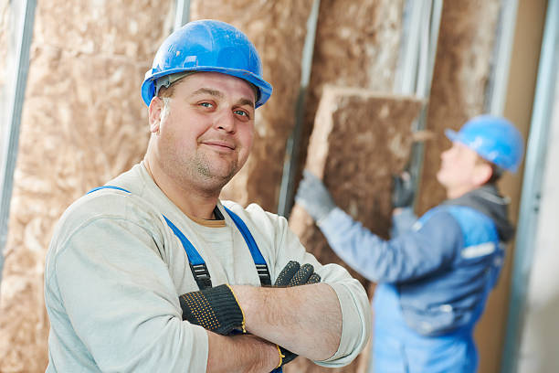 Best Geographic-Specific Insulation Services in Savannah, GA