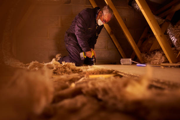 Best Blown-in Insulation in Savannah, GA